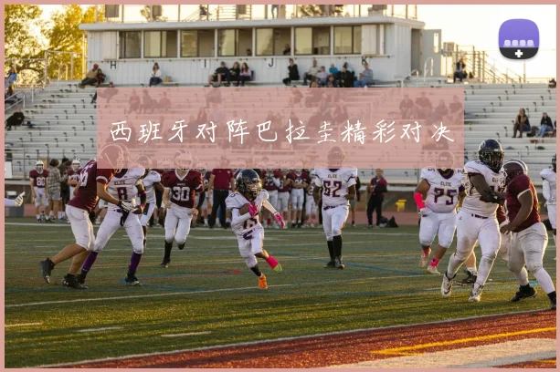 西班牙对阵巴拉圭精彩对决
