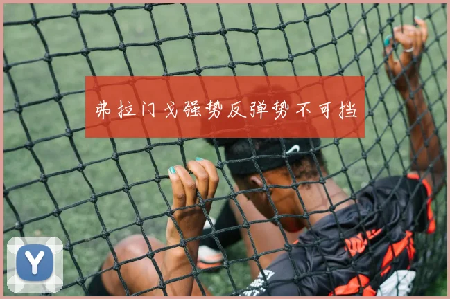 弗拉门戈强势反弹势不可挡