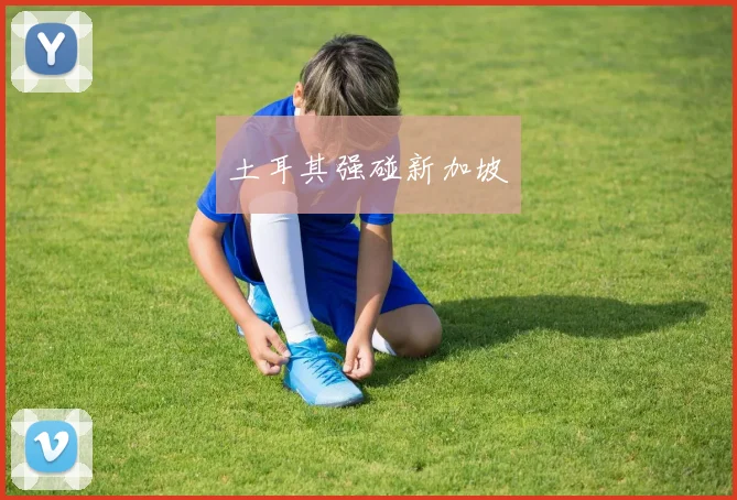 土耳其强碰新加坡