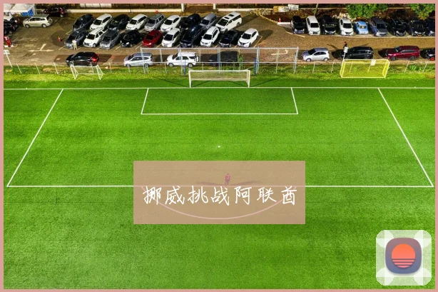 挪威挑战阿联酋