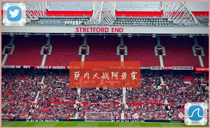 萨内大战阿劳霍