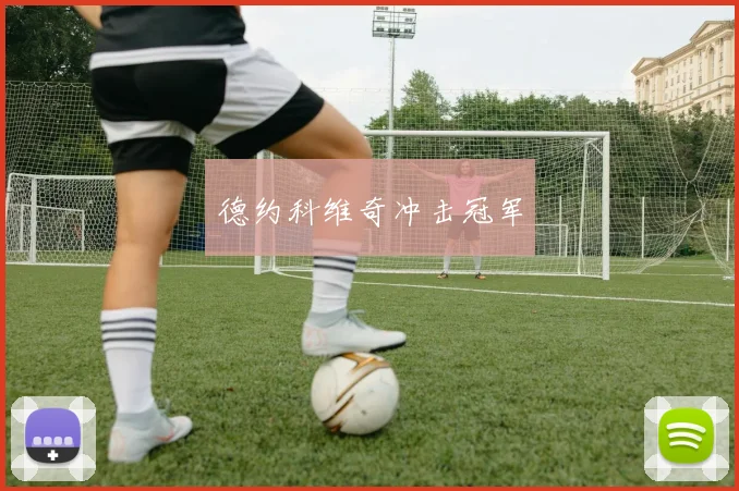 德约科维奇冲击冠军
