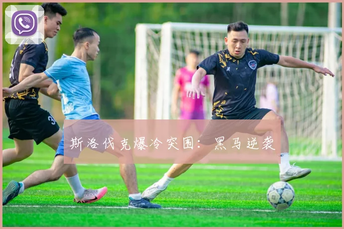 斯洛伐克爆冷突围:黑马逆袭