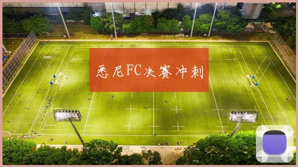 悉尼FC决赛冲刺