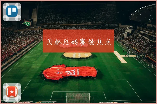 贝林厄姆赛场焦点