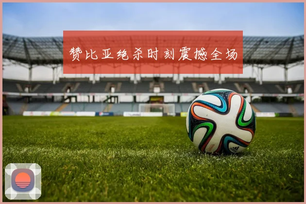 赞比亚绝杀时刻震撼全场