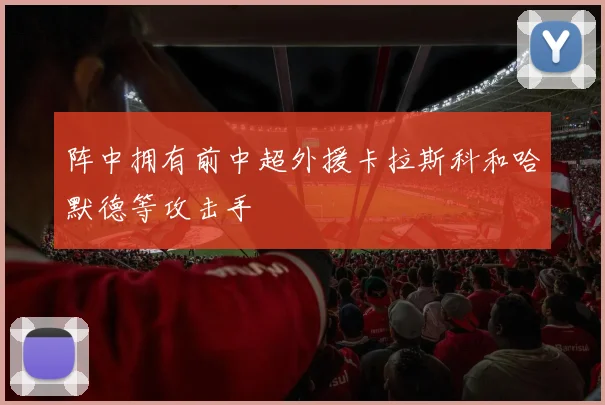 阵中拥有前中超外援卡拉斯科和哈默德等攻击手