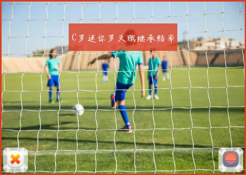 C罗迷你罗天赋继承赔率