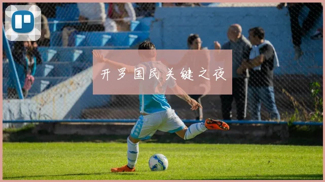 开罗国民关键之夜