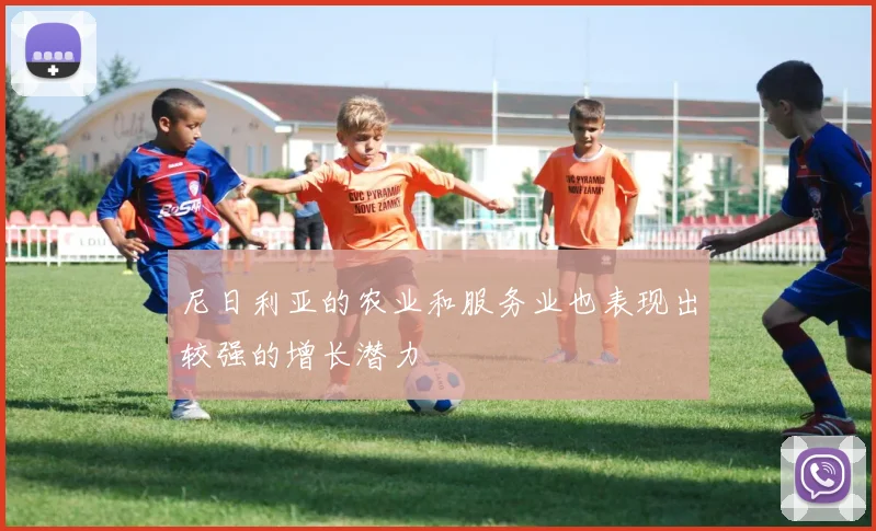 尼日利亚的农业和服务业也表现出较强的增长潜力