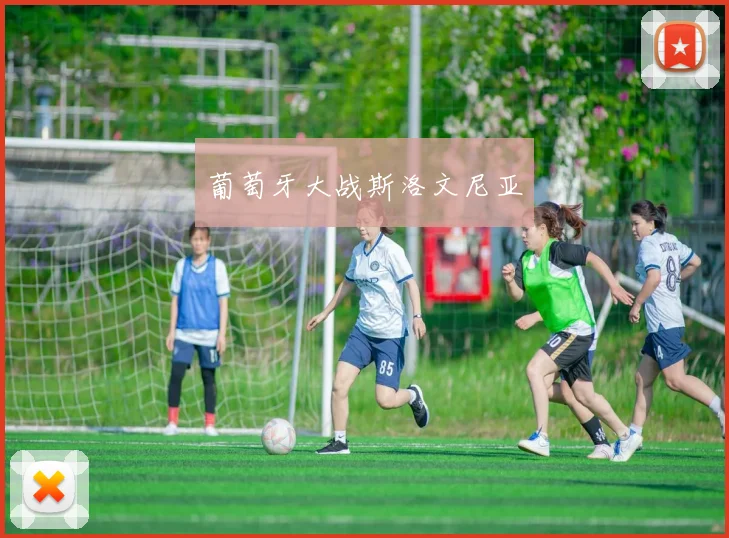 葡萄牙大战斯洛文尼亚