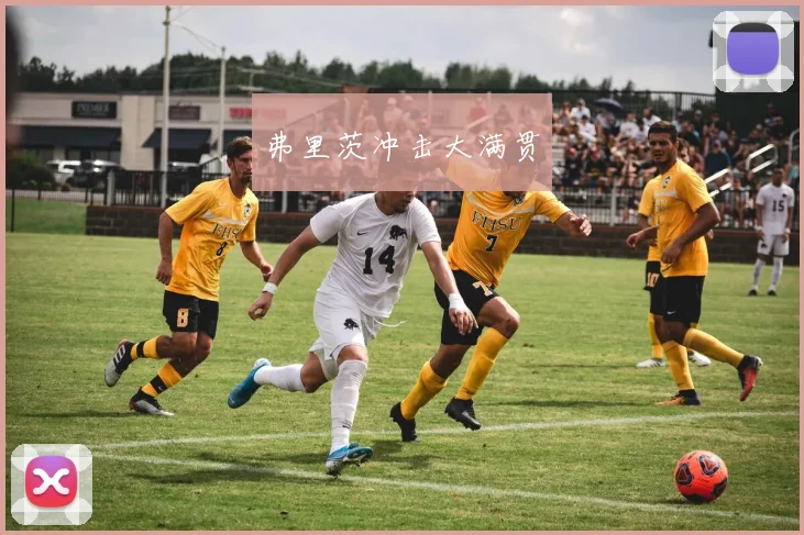 弗里茨冲击大满贯