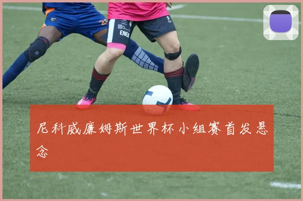 尼科威廉姆斯世界杯小组赛首发悬念