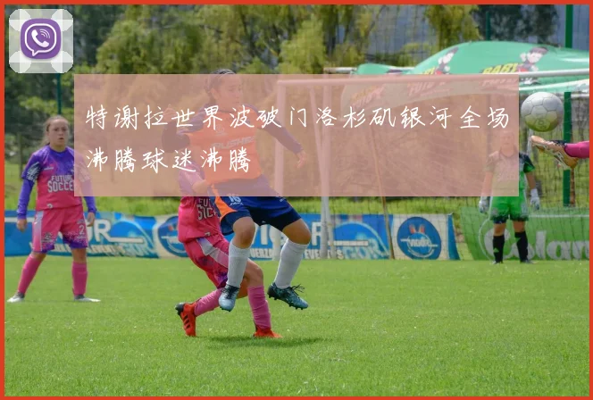 特谢拉世界波破门洛杉矶银河全场沸腾球迷沸腾