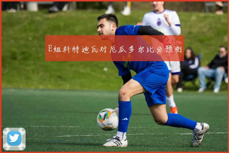 E组科特迪瓦对厄瓜多尔比分预测