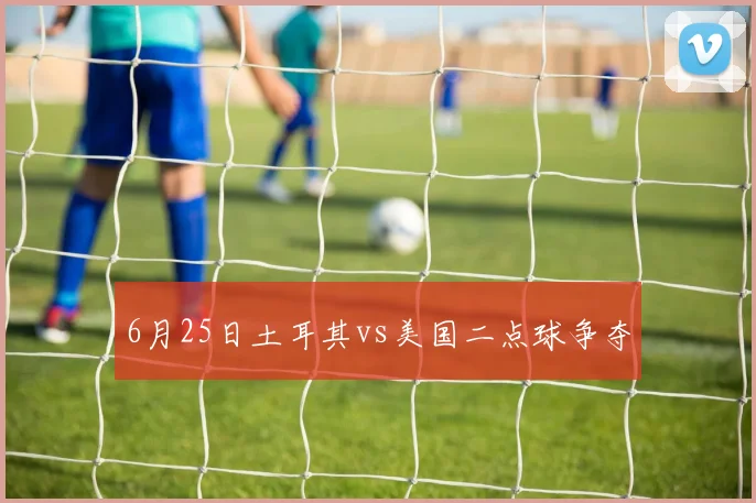 6月25日土耳其vs美国二点球争夺