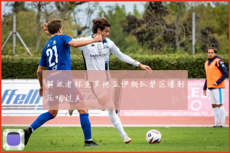 解放者杯克罗地亚伊朗队禁区爆射压哨过关