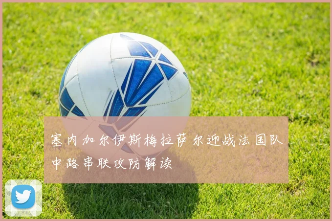 塞内加尔伊斯梅拉萨尔迎战法国队中路串联攻防解读