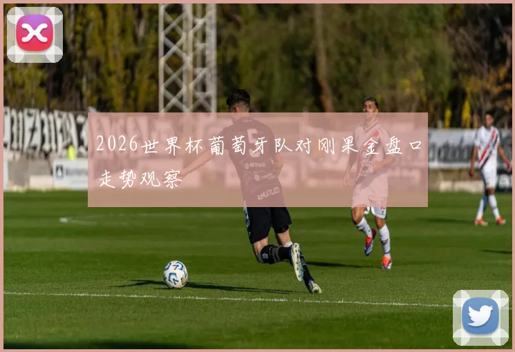 2026世界杯葡萄牙队对刚果金盘口走势观察
