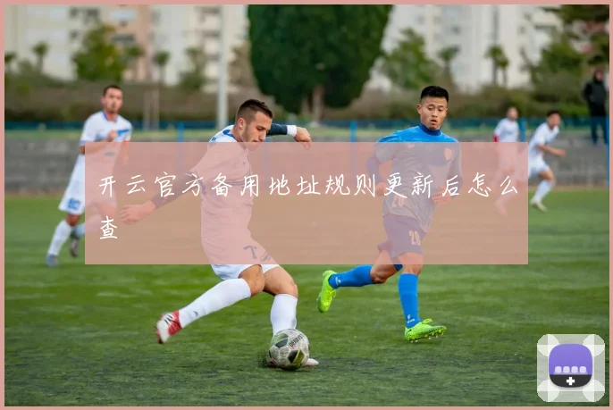 开云官方备用地址规则更新后怎么查