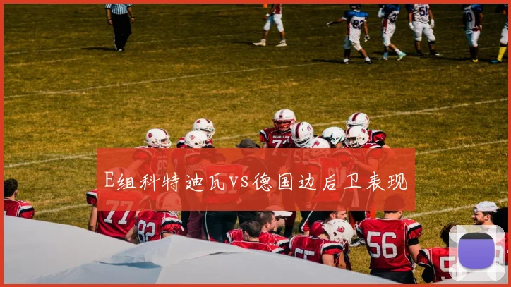 E组科特迪瓦vs德国边后卫表现