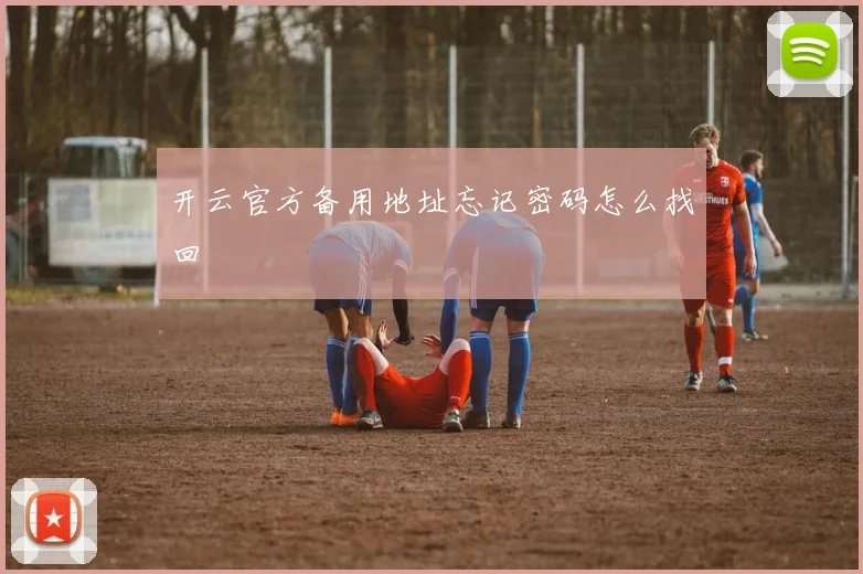开云官方备用地址忘记密码怎么找回