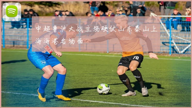 中超鲁沪大战主场硬仗山东泰山上海海港名场面