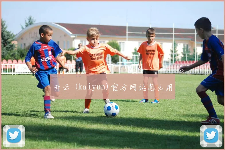 开云 (kaiyun)官方网站怎么用